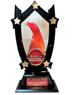 Cabeza de gallo