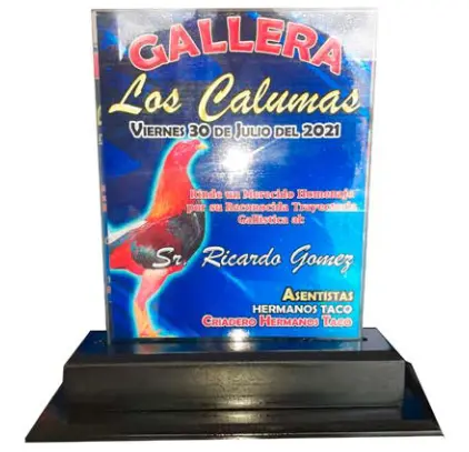 Trofeo Mixto